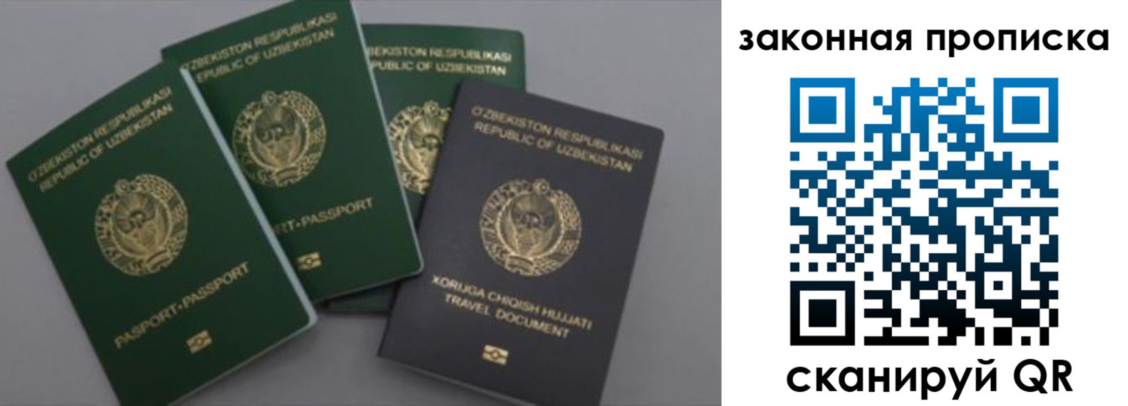 прописка законно в Кудрово